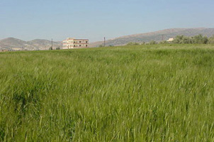 Lebanon, Beqaa Valley