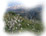 Mount Lebnaon Photos